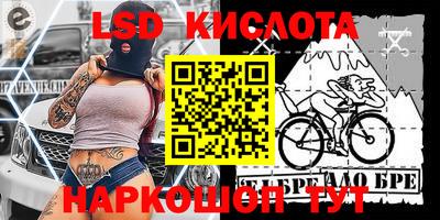 стафф Гатчина