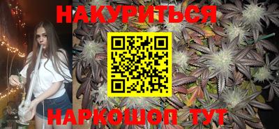 стафф Гатчина
