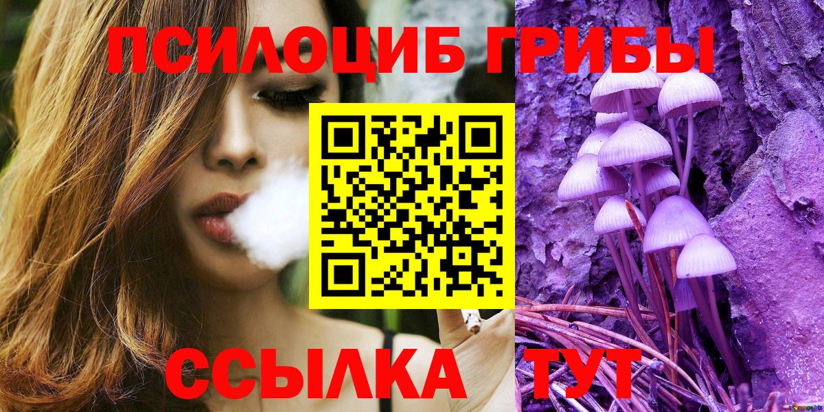 Псилоцибиновые грибы Psilocybine cubensis  Вход с VPN  Карпинск  Псилоцибиновые грибы прущие грибы 